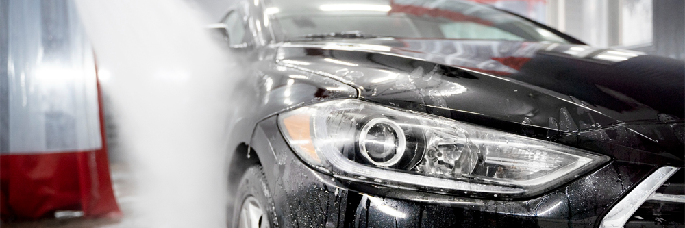 Paint Protection Film